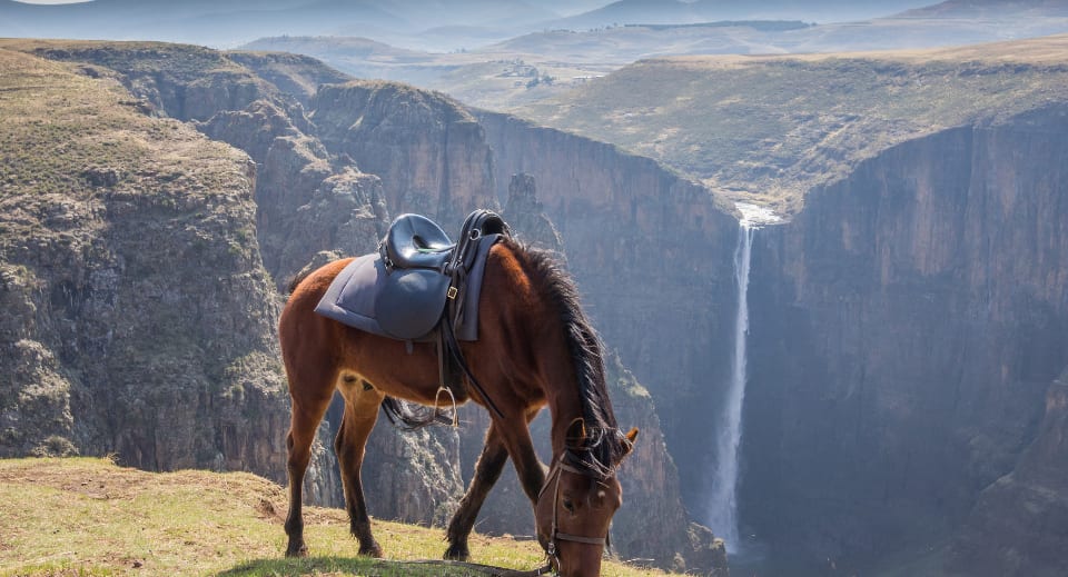 Wildlife tourism and Basotho ponies in Lesotho