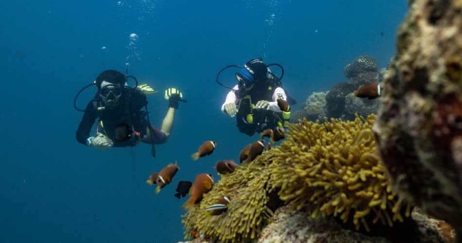 Guest diving at Avani+ Fares Maldives