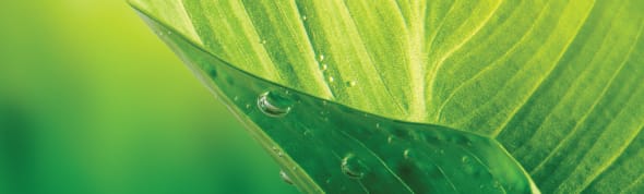 Indulge in a relaxing spa treatment at hotel Maseru Lesotho