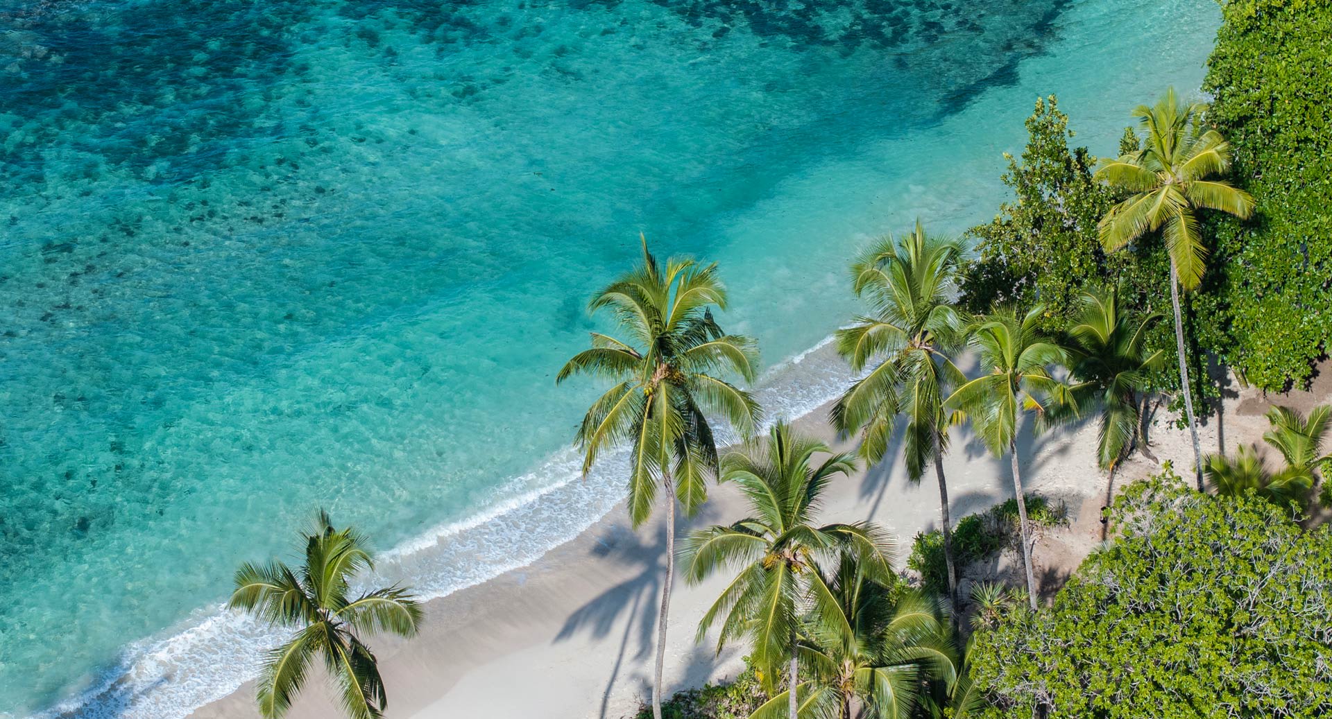 Avani+ Barbarons Seychelles