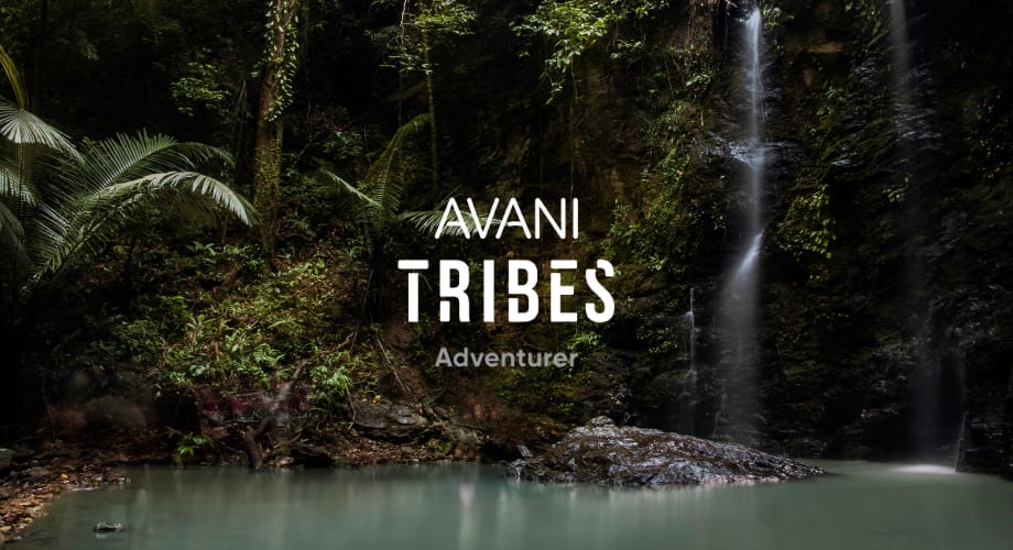 Adventurer tribe