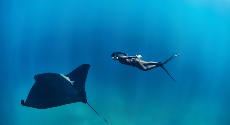 Diving in the maldives