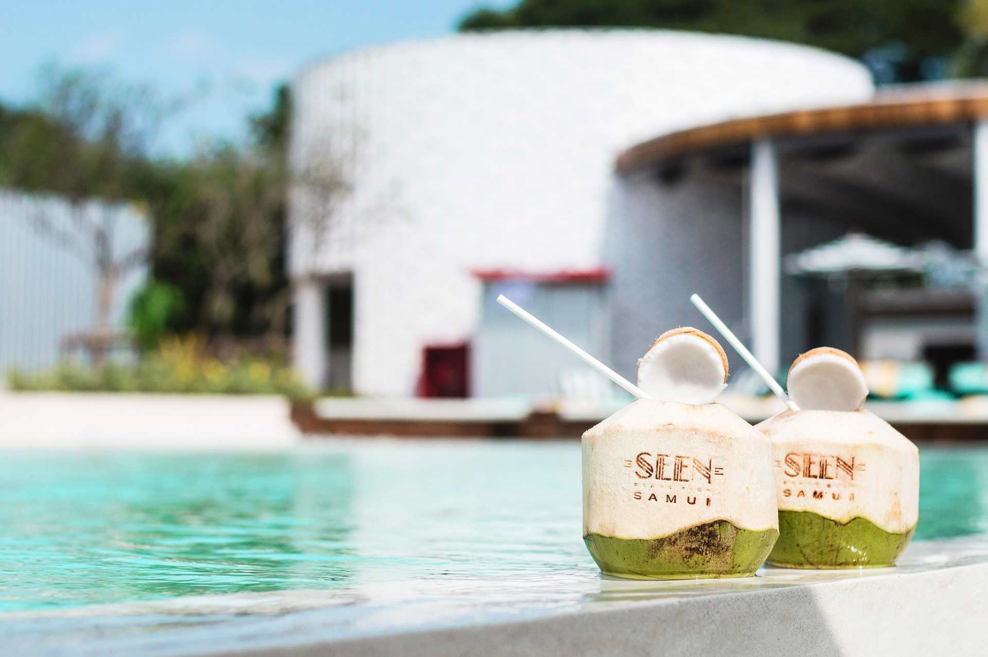 Two coconuts with "SEEN Beach Club Samui" inscribed sitting by the swimming pool.