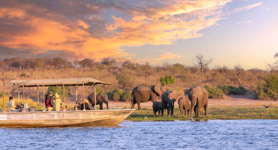 Elephants and wildlife tourism in Chobe National Park 