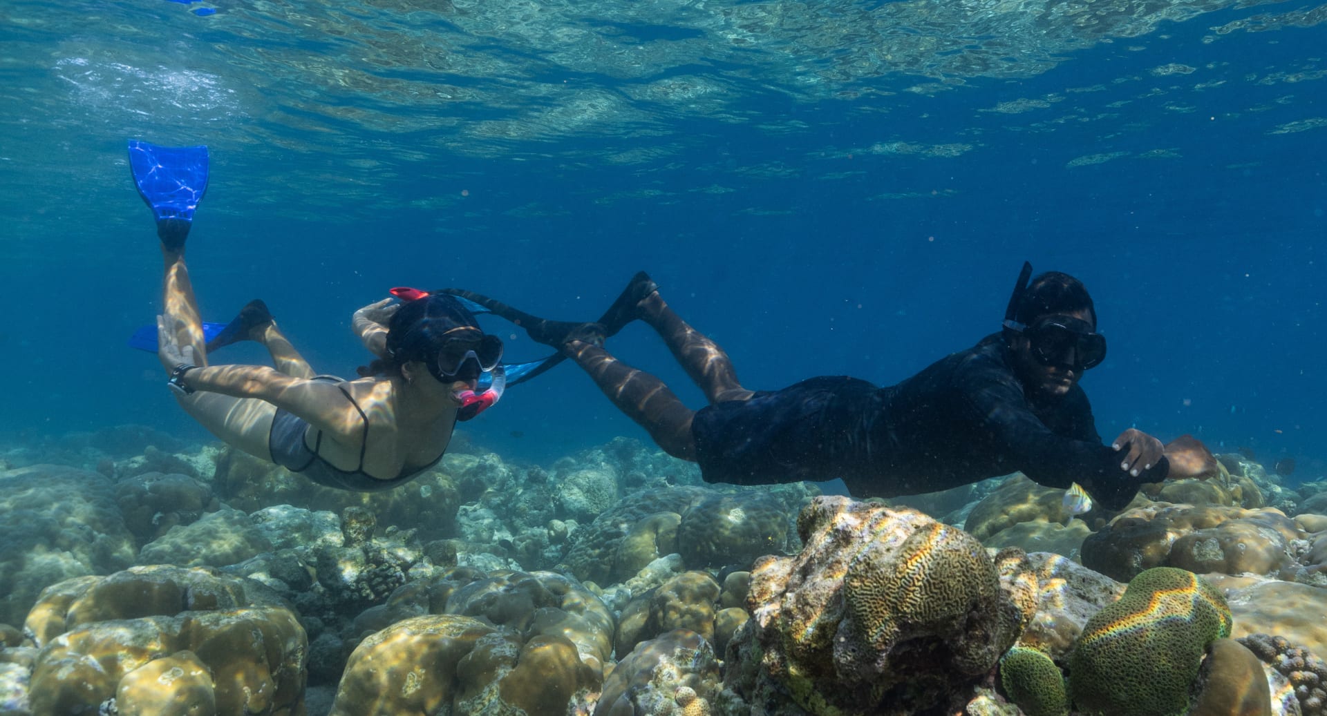 Guest snorkeling above coral reef at Avani+ Fares Maldives resort