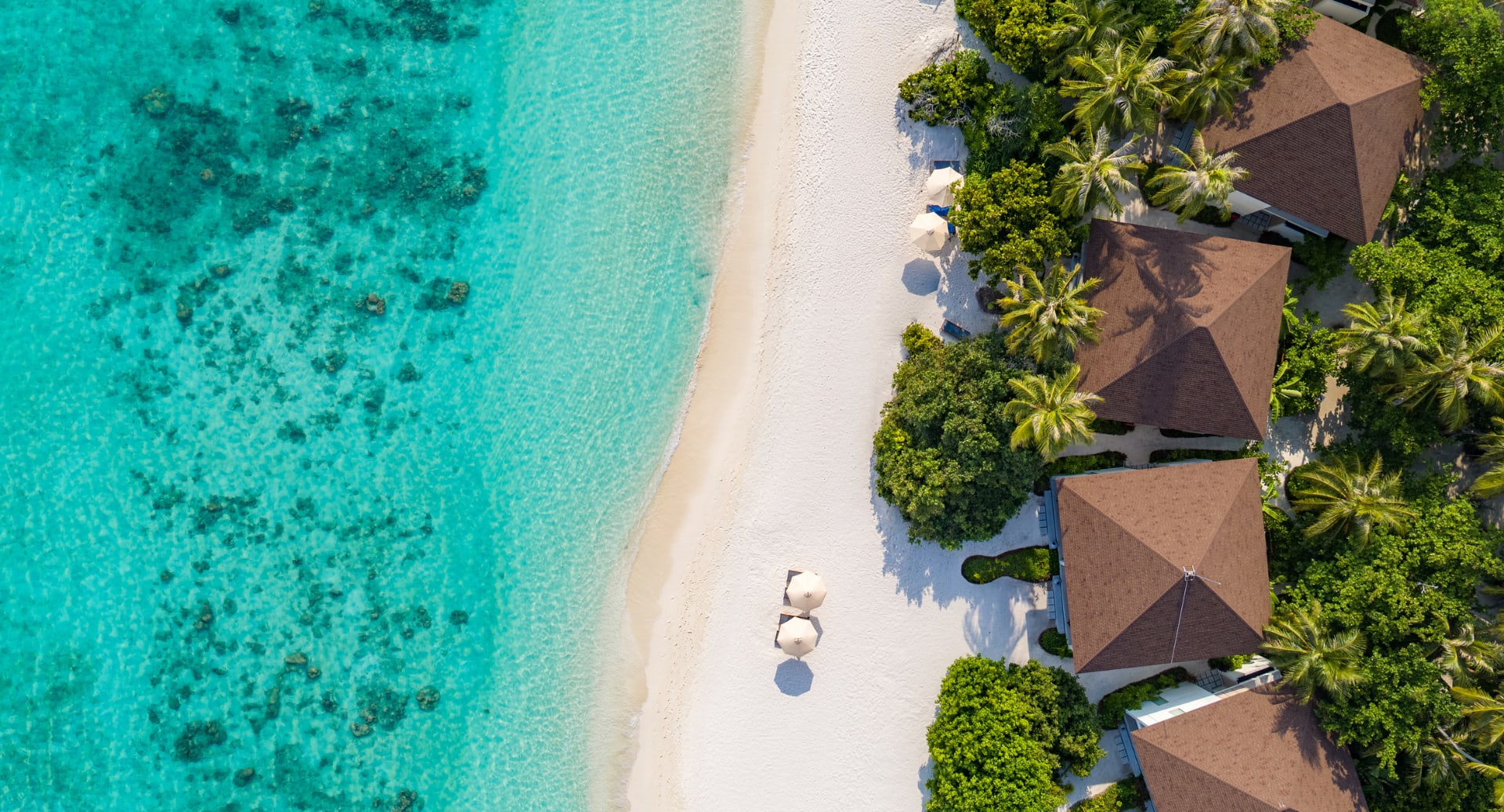 Beachside pavilions with ocean views and private access to white-sand beach at Avani+ Fares Maldives