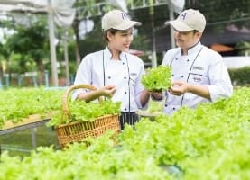 Avani Hotels Honours Earth Day 2021