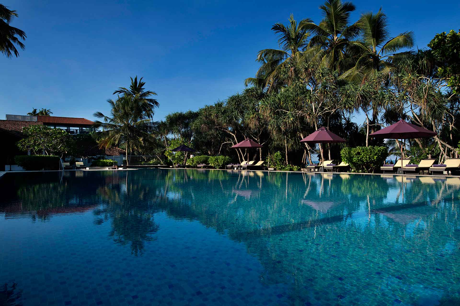 Pool of AVANI Bentota Resort and Spa
