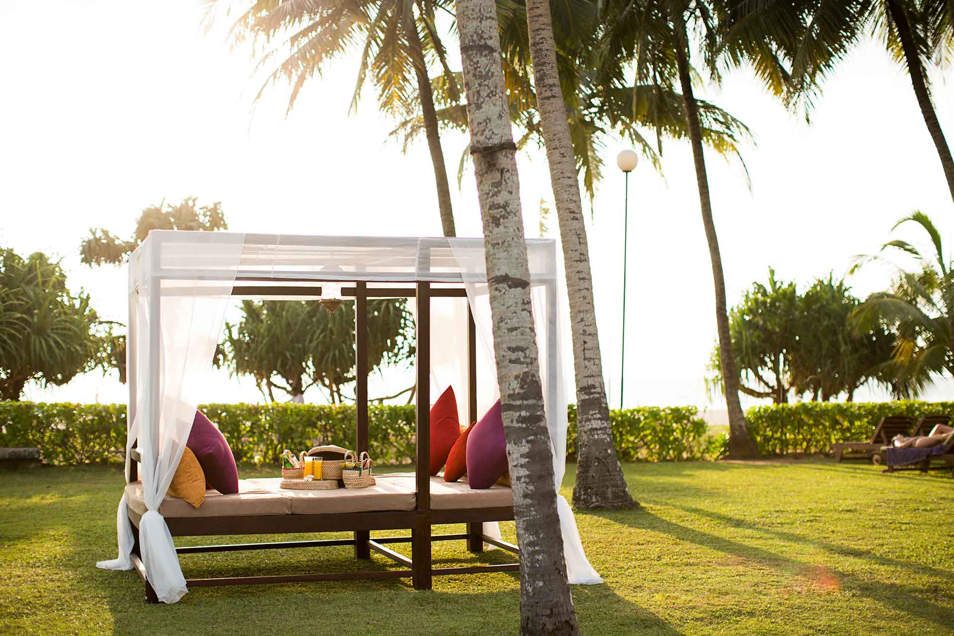 A sun lounger deck on garden