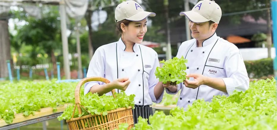 A man and woman collecting plants.