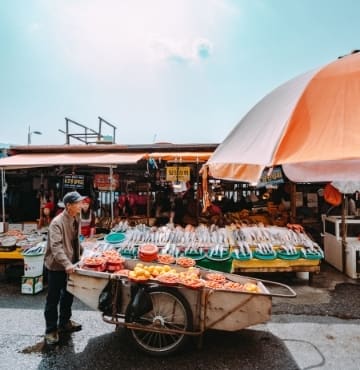 Jagalchi Fish Market