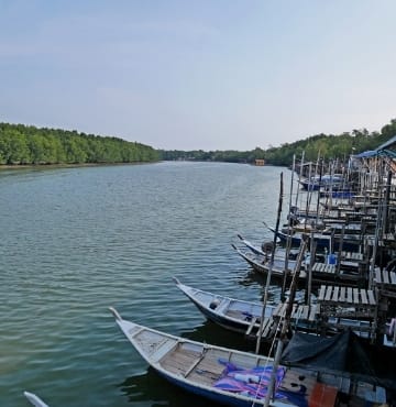 Mangrove River Cruise Sepang Malaysia