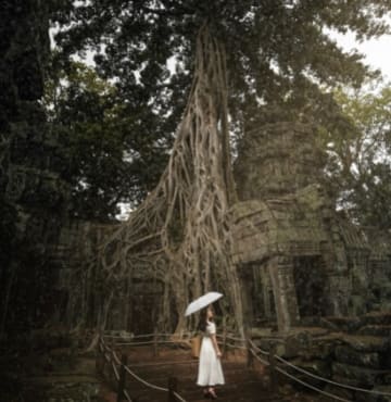 Ta Prohm Temple Siem Reap