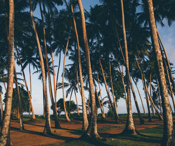 Avani Kalutara Resort