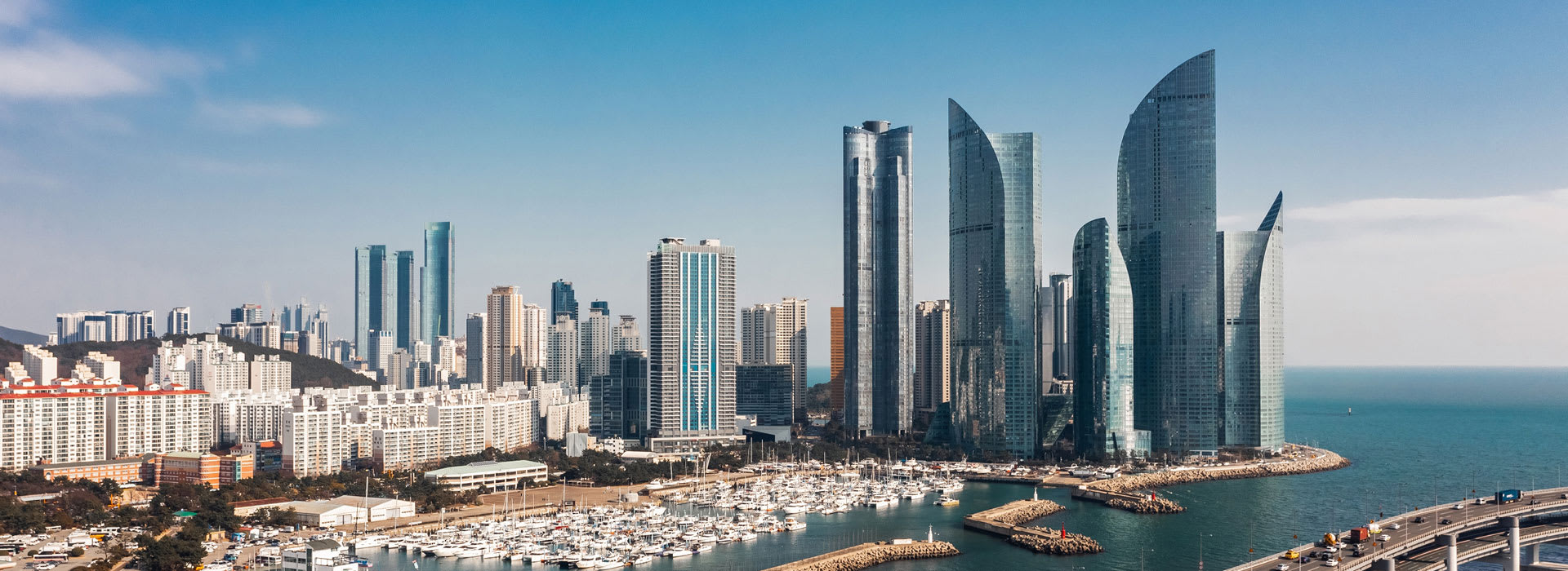 Best Hotels in Korea| Hotel Booking | Avani Hotels & Resorts