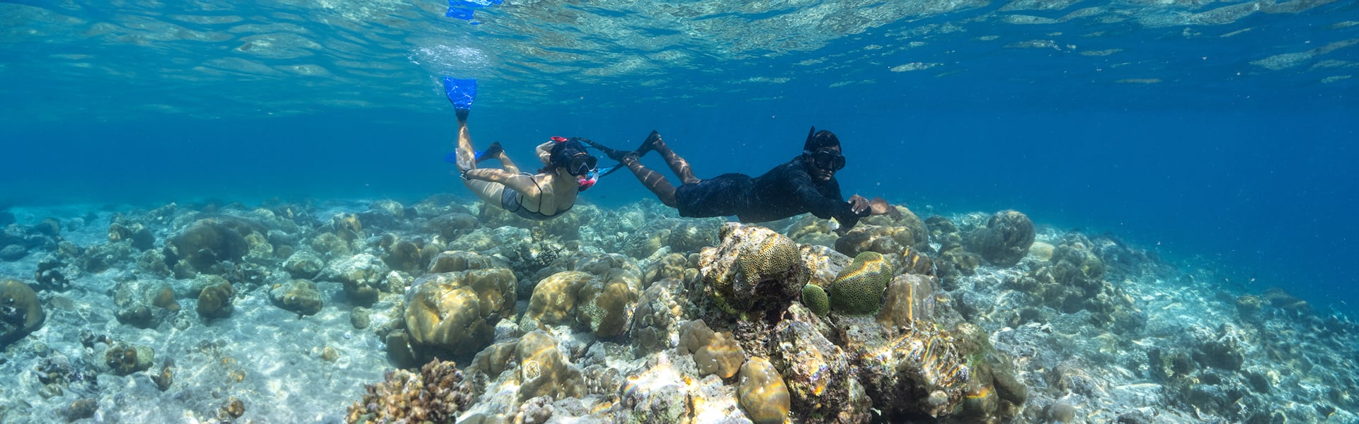 Baa Atoll Maldives Resort & Hotel | Avani+ Fares Maldives Resort