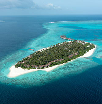 Avani_Plus_Fares_Maldives_Homepage_Destination_334x340_New